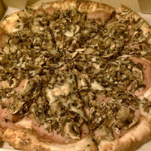 Dudley Do Right (Extra Large 16 Inches).